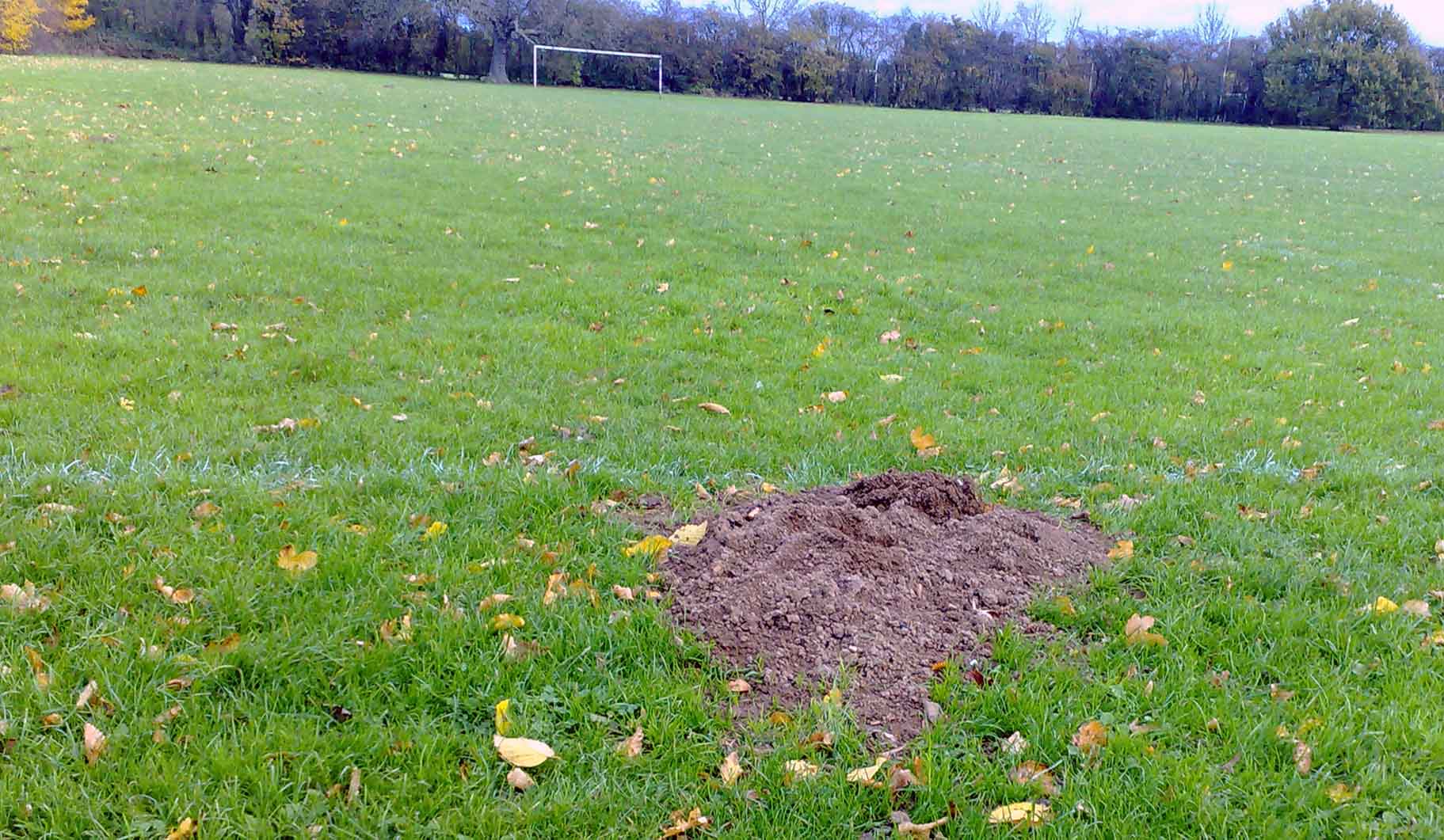 Bare patch of grass on pitch